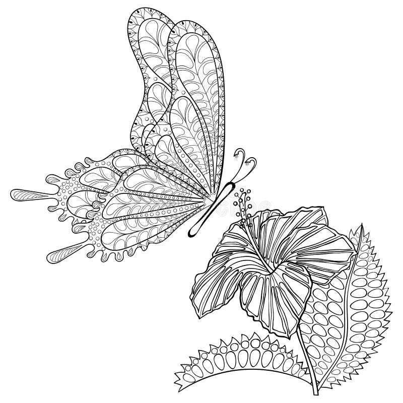 Dé a zentangle exhausto la flor tribal de la mariposa y de Hibiskus del vuelo stock de ilustración Dé a zentangle exhausto la flor tribal de la mariposa y de Hibiskus del vuelo stock de ilustración