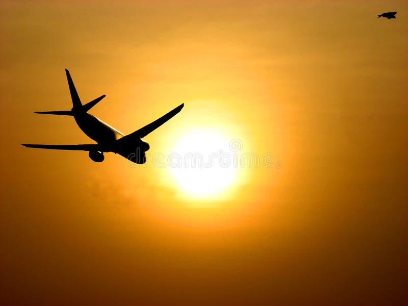 A plane flies into the setting sun. A plane flies into the setting sun