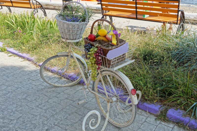 rue littré boutique bicyclette