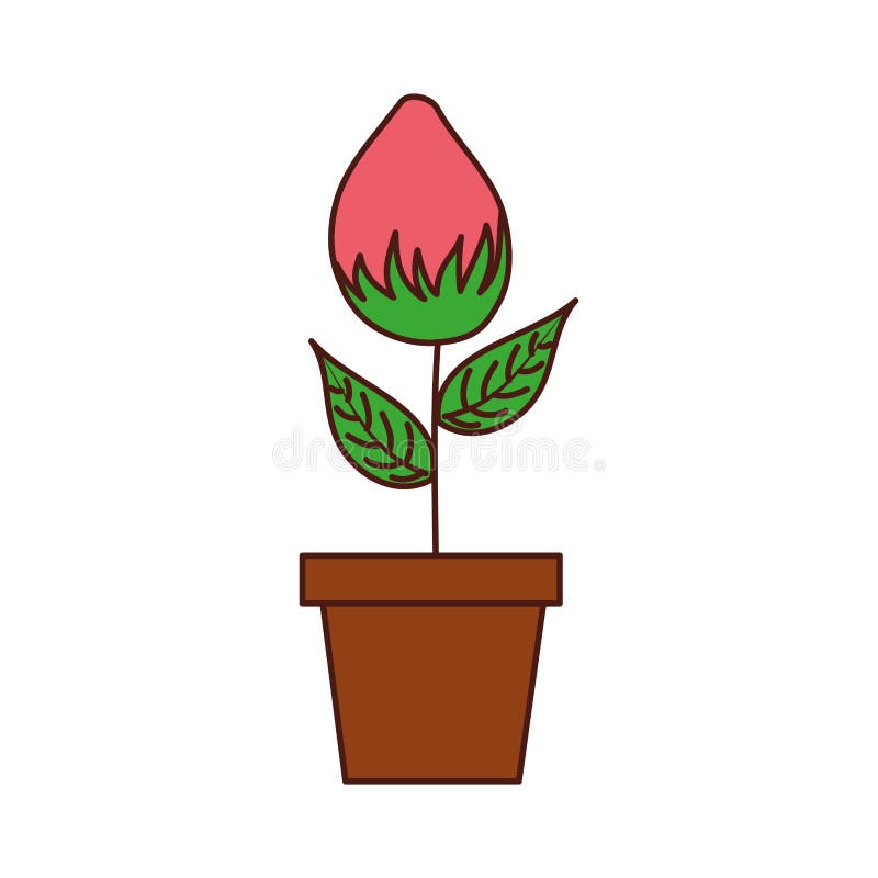 Décoration naturelle d'usine de croissance d'ampoule de fleur mise en pot illustration stock Décoration naturelle d'usine de croissance d'ampoule de fleur mise en pot illustration stock