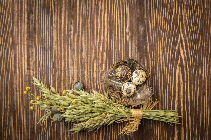 Décoration rustique de Pâques de style - nid avec les oeufs et le bouquet des herbes sèches sur le fond en bois de cru photos libres de droits Décoration rustique de Pâques de style - nid avec les oeufs et le bouquet des herbes sèches sur le fond en bois de cru photos libres de droits