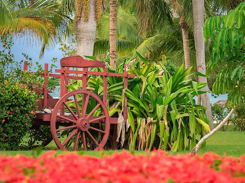 Décoration tropicale de jardin de vieux chariot rouge de boeuf par la mer image stock Décoration tropicale de jardin de vieux chariot rouge de boeuf par la mer image stock