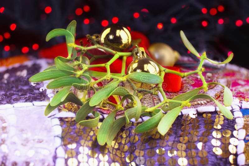Décorations de Noël avec des branches de guis image libre de droits Décorations de Noël avec des branches de guis image libre de droits