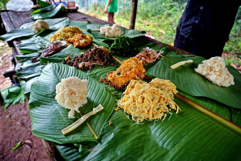 Déjeuner laotien traditionnel dans la forêt tropicale, Nam Ha National Protected Area, Laos image stock Déjeuner laotien traditionnel dans la forêt tropicale, Nam Ha National Protected Area, Laos image stock