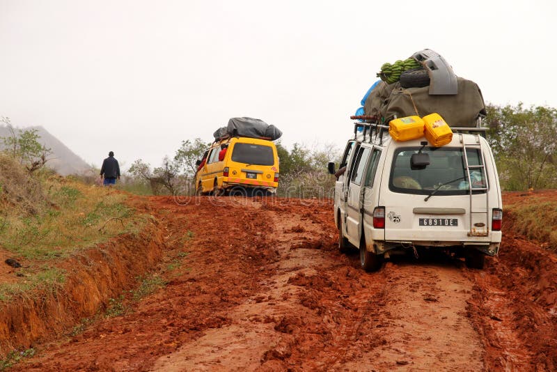 Voyager sur la route boueuse de la jungle image libre de droits
