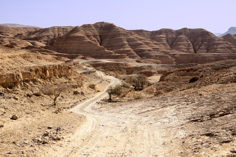 A long dusty road winds through the isolated and remote hills and valleys of the Negev desert. In the background, hills of sedimentary sandstone loom over the road. A long dusty road winds through the isolated and remote hills and valleys of the Negev desert. In the background, hills of sedimentary sandstone loom over the road.