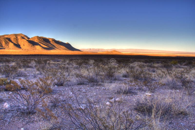 Paysage Occidental Sauvage De Texas Hill Country Image stock Image du
