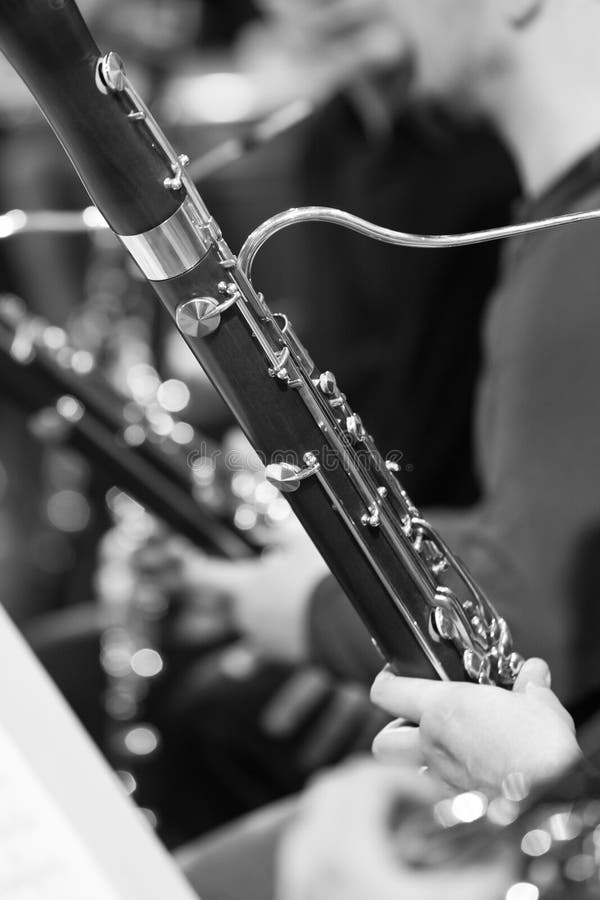 Détail du basson image stock. Image du type, instrument 67931841