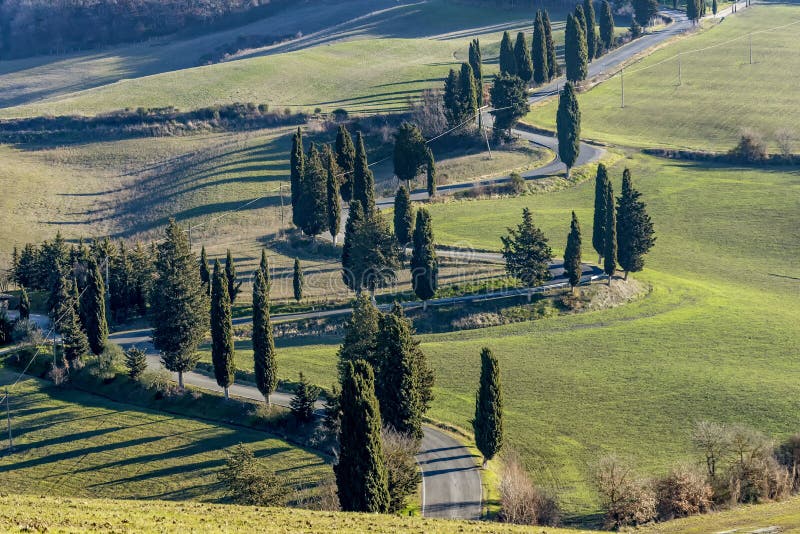 Détail de route scénique bordé par des arbres de cyprès dans la campagne toscane près de Monticchiello, Sienne, Italie photos stock Détail de route scénique bordé par des arbres de cyprès dans la campagne toscane près de Monticchiello, Sienne, Italie photos stock