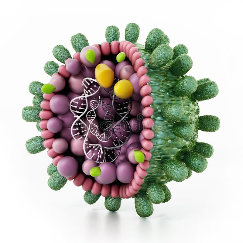 Détail structurel du virus de l'hépatite B d'isolement sur le blanc illustration 3D illustration de vecteur Détail structurel du virus de l'hépatite B d'isolement sur le blanc illustration 3D illustration de vecteur