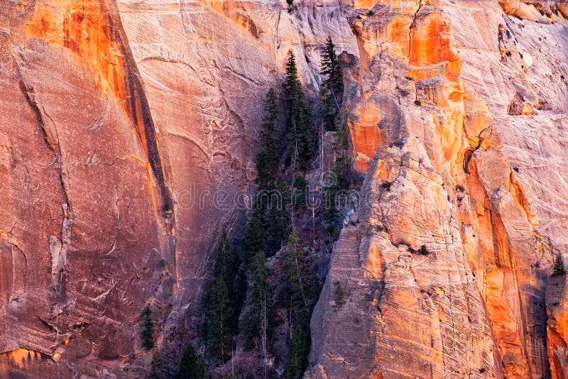 Détaillez la vue de paysage des murs de montagne en parc national de Zion, Utah images libres de droits Détaillez la vue de paysage des murs de montagne en parc national de Zion, Utah images libres de droits