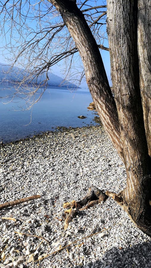 Día caliente del invierno en maggiore rocoso del lago de la costa de Ispra Italia fotos de archivo libres de regalías Día caliente del invierno en maggiore rocoso del lago de la costa de Ispra Italia fotos de archivo libres de regalías