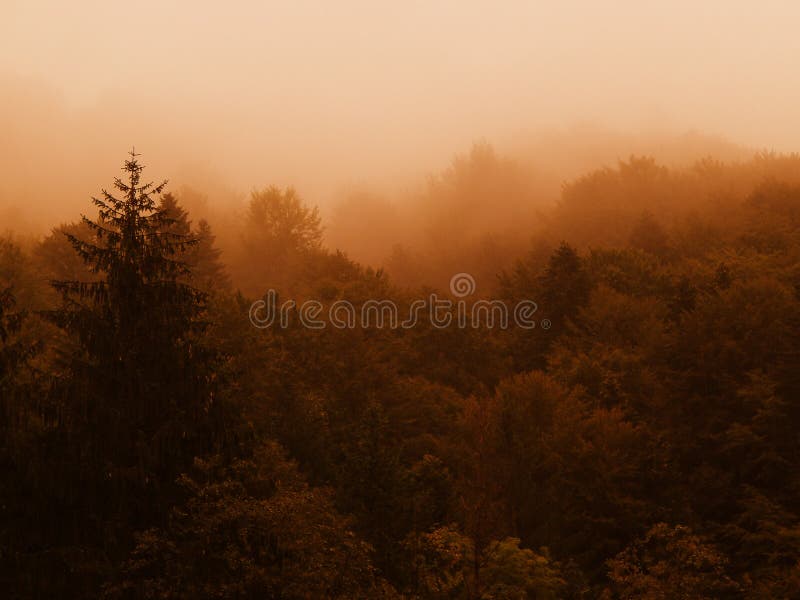 Día lluvioso del otoño en los bosques de Transylvnia imágenes de archivo libres de regalías Día lluvioso del otoño en los bosques de Transylvnia imágenes de archivo libres de regalías
