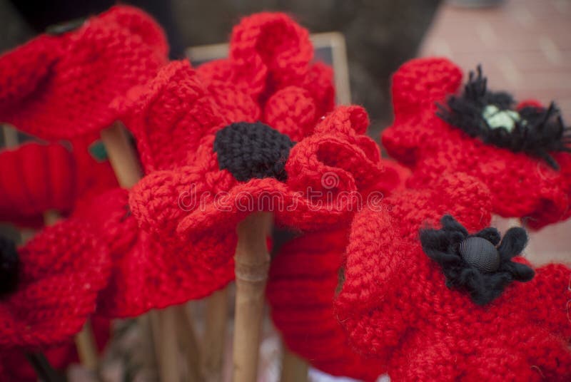 Día rojo hecho punto de la conmemoración del día del anzac de la amapola fotos de archivo libres de regalías Día rojo hecho punto de la conmemoración del día del anzac de la amapola fotos de archivo libres de regalías