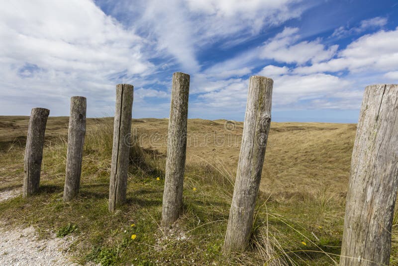 Dünen-Landschaft in den Niederlanden stockfoto Dünen-Landschaft in den Niederlanden stockfoto