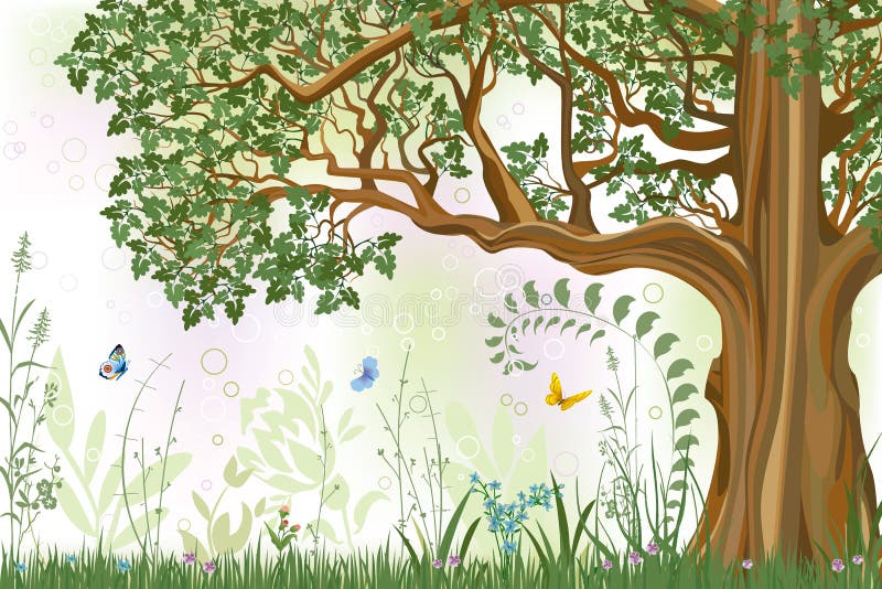dębowy drzewo ilustracji dębowy drzewo ilustracji