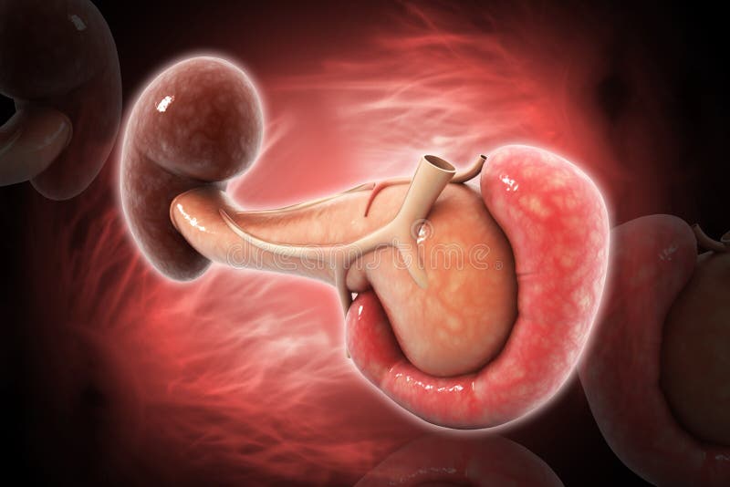 脾怎么做 做过脾脏可以买保险吗