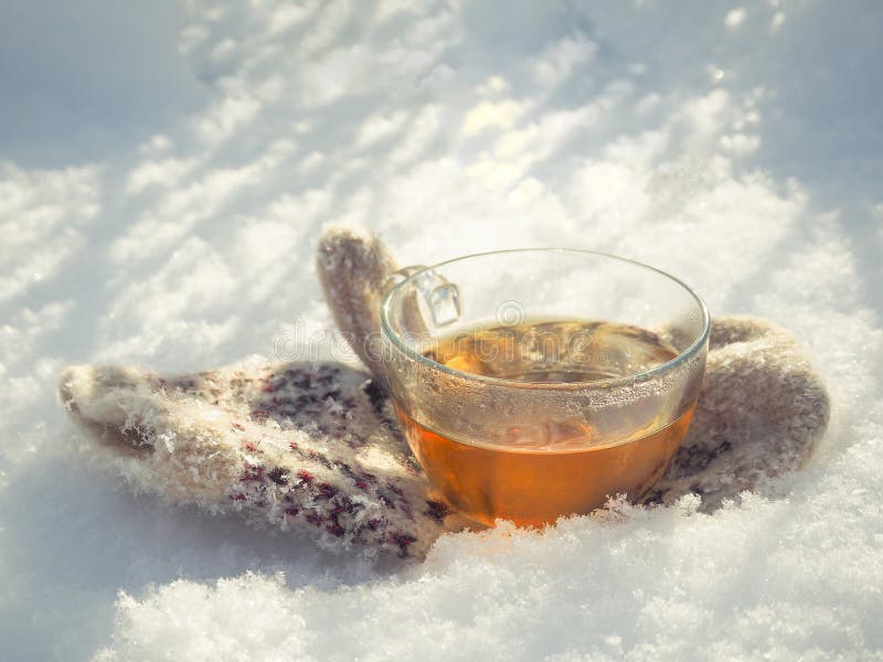 Tea in the winter forest. A pretty woman drinks tea in cold weather. Tea in the winter forest. A pretty woman drinks tea in cold weather