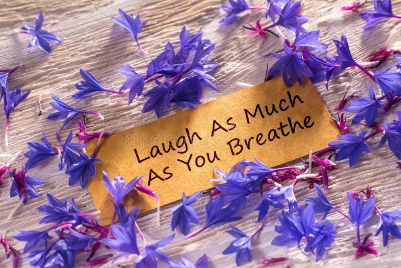 Laugh As Much As You Breathe in looking memo on white wood with beautiful blue flowers around. Laugh As Much As You Breathe in looking memo on white wood with beautiful blue flowers around