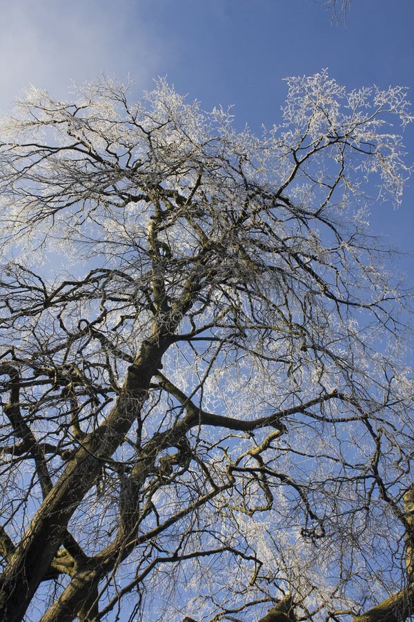 E imágenes de archivo libres de regalías.