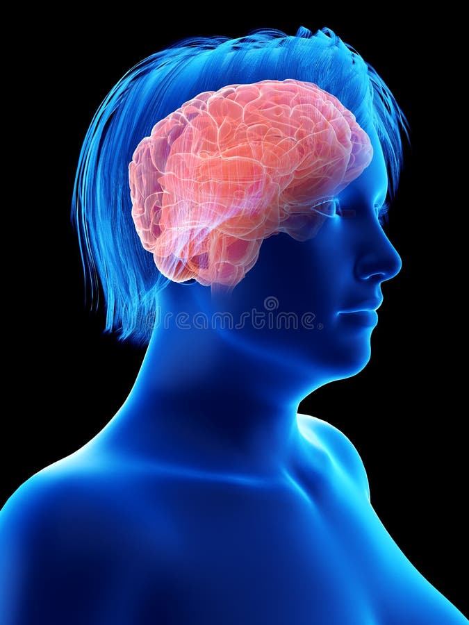 Het brein van een obese vrouw stock illustratie