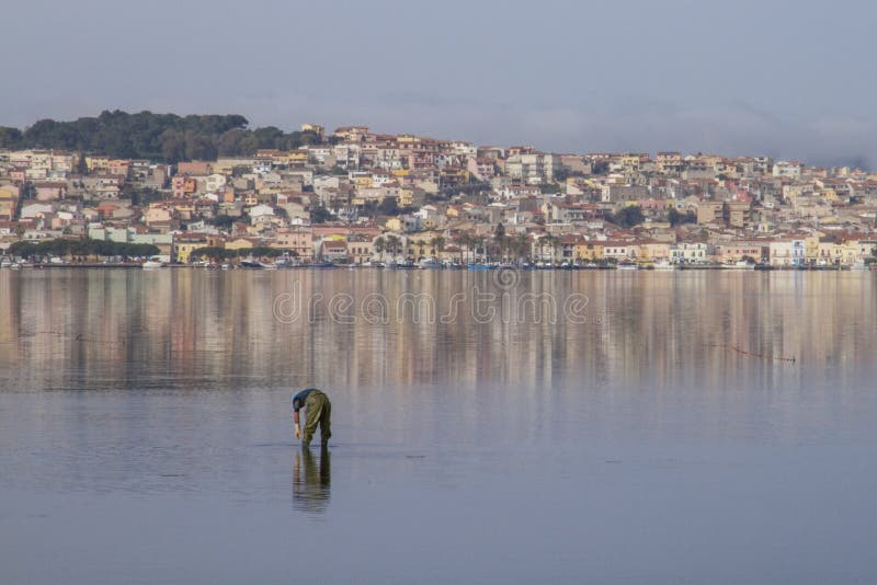 Рыбак на работе, скачающий в плоской морской воде, которая отражает дома Сан-Антиоко в Сардинии стоковые фотографии rf Рыбак на работе, скачающий в плоской морской воде, которая отражает дома Сан-Антиоко в Сардинии стоковые фотографии rf