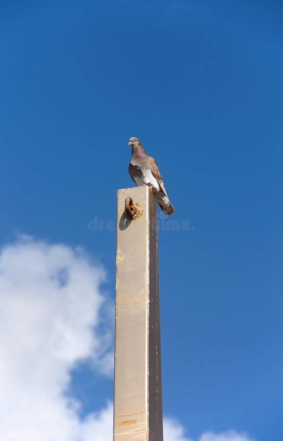 E fotos de stock E fotos de stock