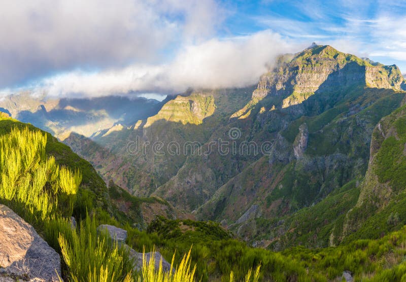 E royalty-vrije stock foto's.