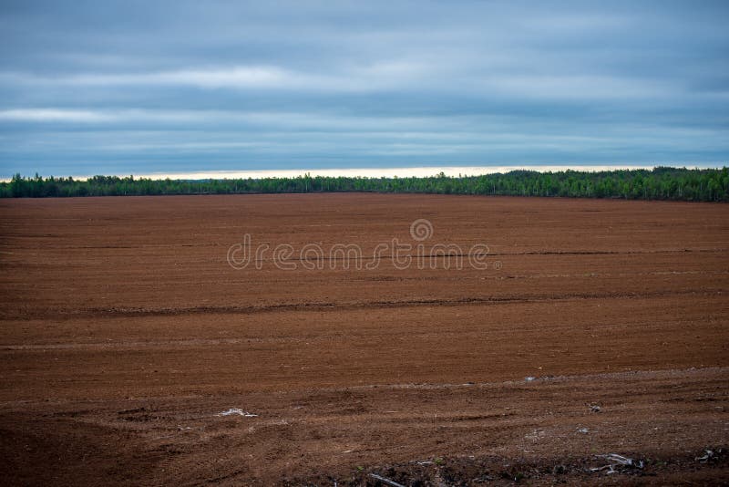 Empty countryside landscape in autumn with fields and meadows and rare trees in background, late autumn in agriculture