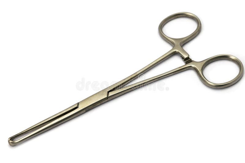 An Allis Clamp Also Called the Allis Forceps is a Commonly Used