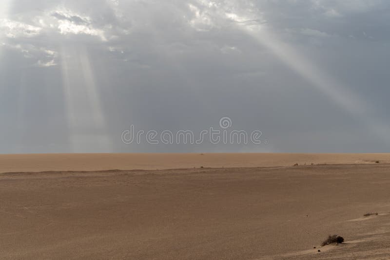 E foto de stock E foto de stock