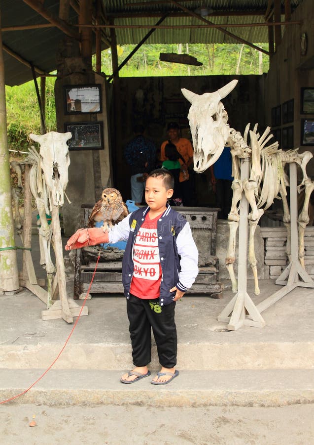 E royalty-vrije stock fotografie.