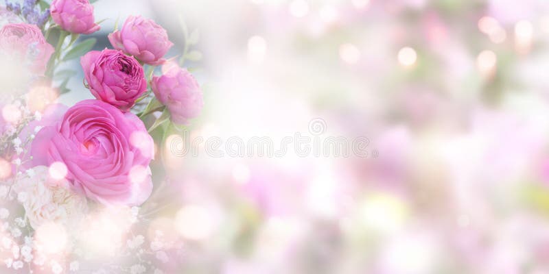 Tender pink roses background for a mothers day card. Tender pink roses background for a mothers day card