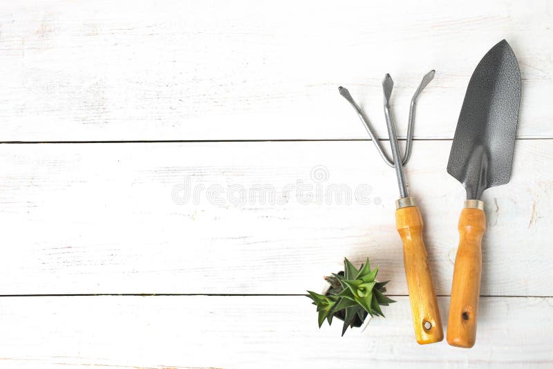 E foto de stock E foto de stock