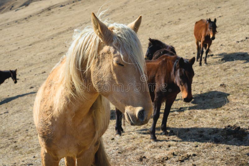 E photographie stock E photographie stock