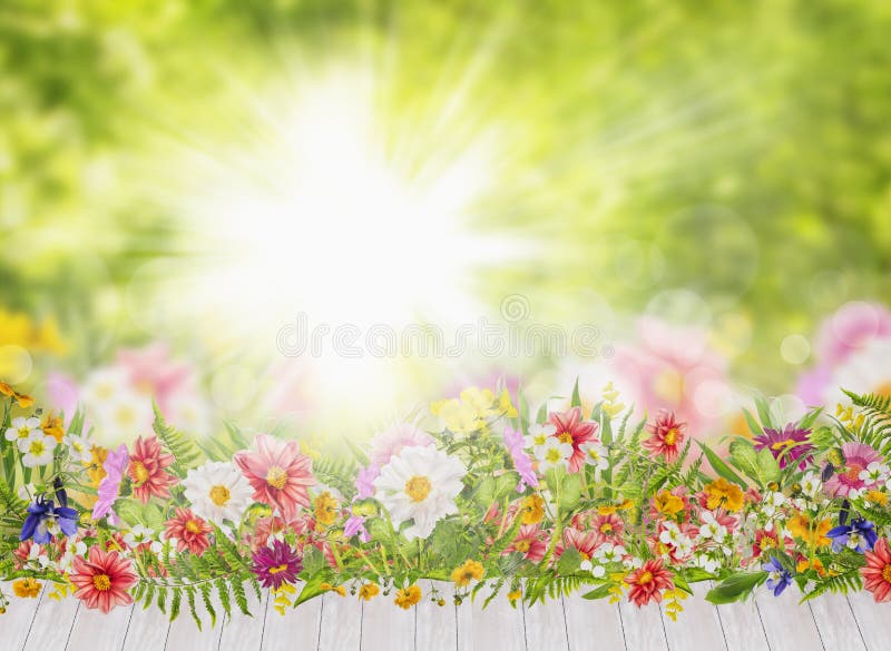 Summer flowers bed on white terrace on background of beautiful summer garden with sunlight and bokeh. Summer flowers bed on white terrace on background of beautiful summer garden with sunlight and bokeh