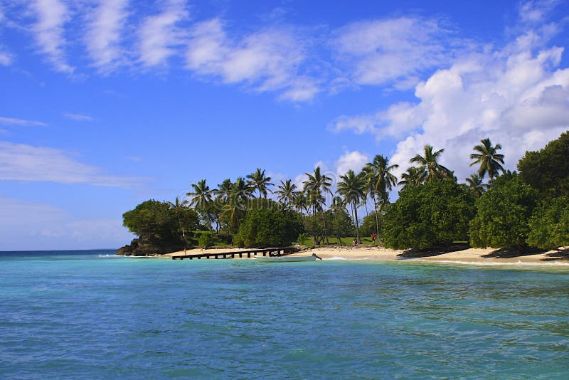 Caribbean beach, Samana island, Dominican republic, Caribbean. Caribbean beach, Samana island, Dominican republic, Caribbean