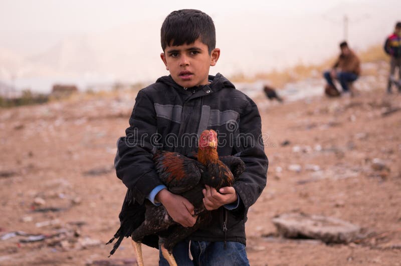 E fotos de stock royalty free.