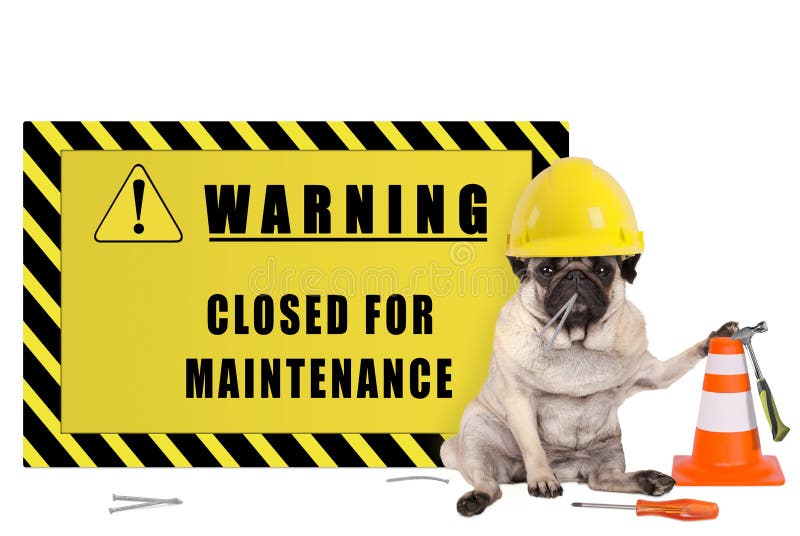 Pug dog with yellow constructor safety helmet and warning sign with text closed for maintenance, isolated on white background. Pug dog with yellow constructor safety helmet and warning sign with text closed for maintenance, isolated on white background