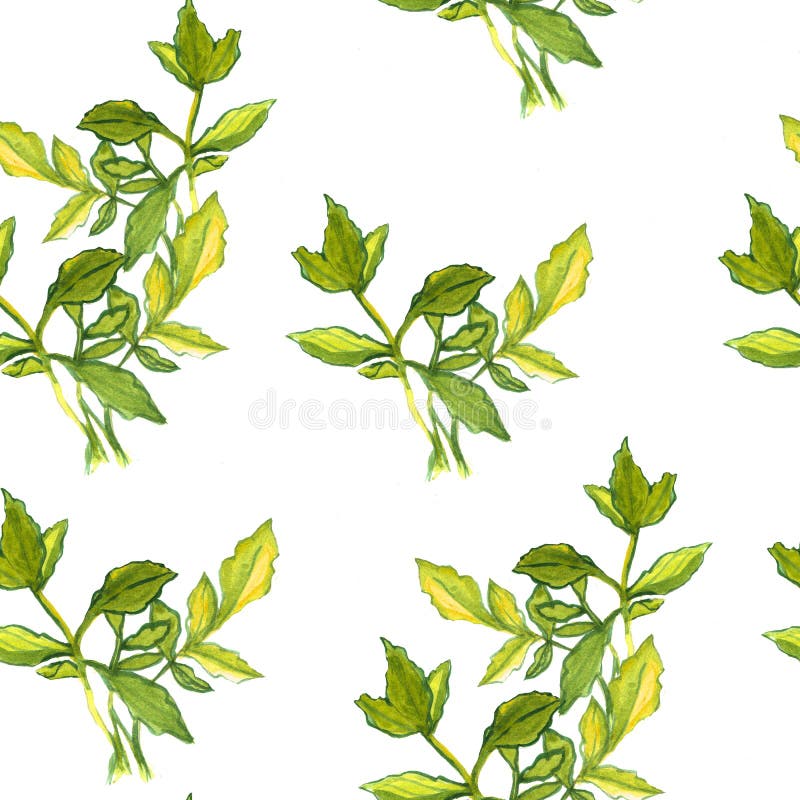 E Botanisk textur som wish f?r blom- scroll f?r f?rgdesignelement vectorized dig vektor illustrationer E Botanisk textur som wish f?r blom- scroll f?r f?rgdesignelement vectorized dig vektor illustrationer