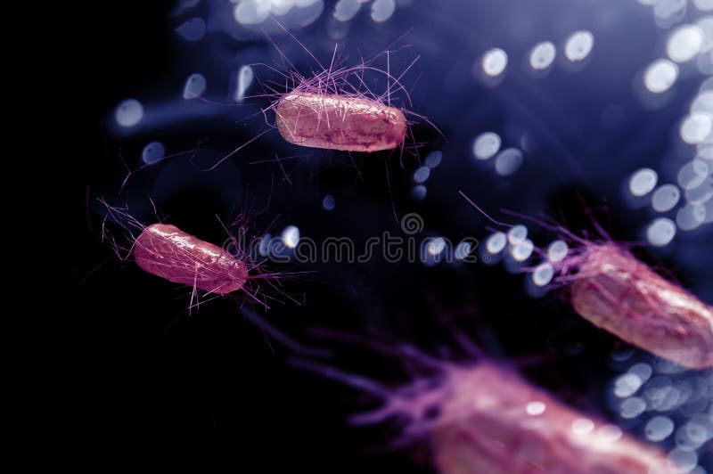 e C?lulas de las bacterias de Coli