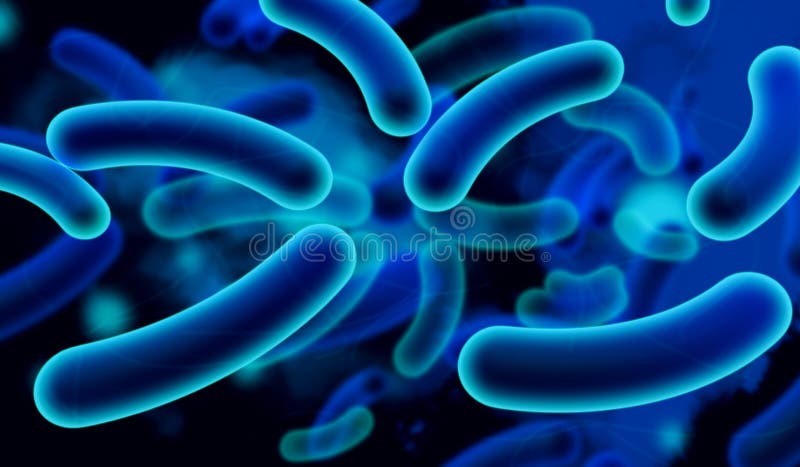 E coli Bacteria royalty free illustration