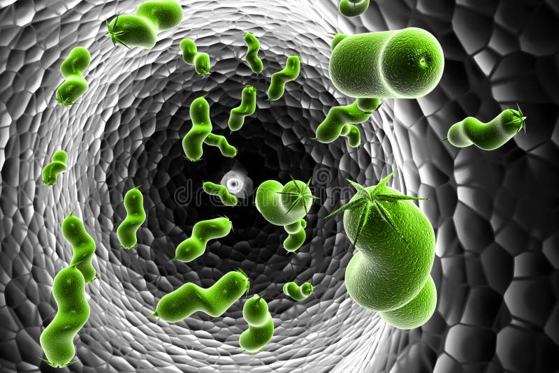 E coli Bacteria royalty free illustration