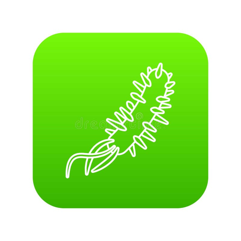 E coli bacteria icon green vector stock illustration