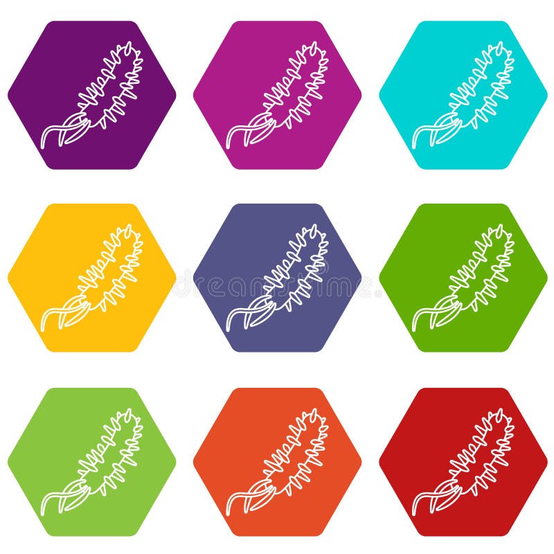 E coli bacteria icons set 9 vector vector illustration