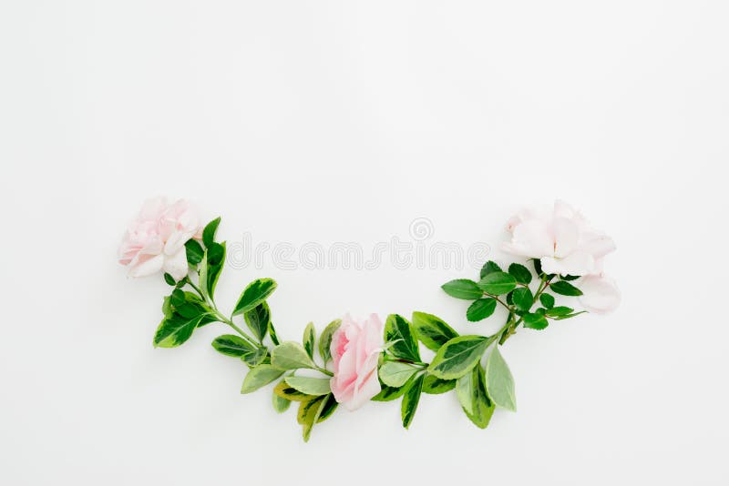 Floral composition of pastel roses and green leaves on white background. Flat lay. Floral composition of pastel roses and green leaves on white background. Flat lay