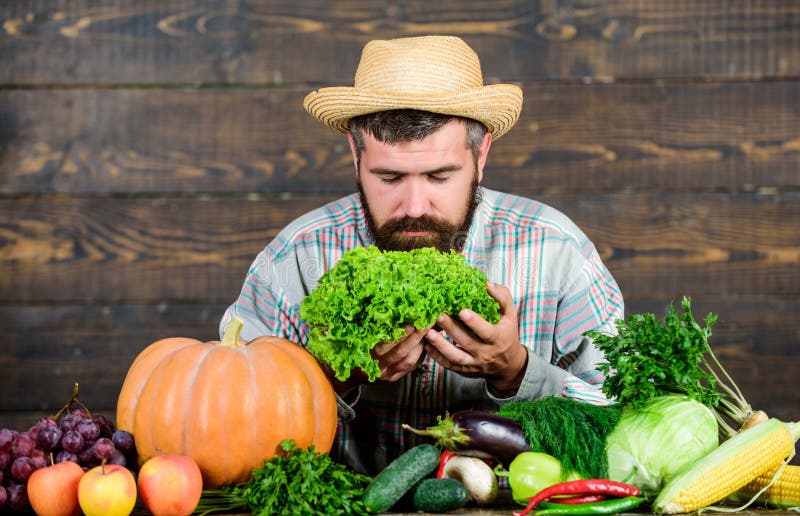 семейная пара помощники по хозяйству. работа для мужчины хозяйство. помощник по хозяйству с проживанием. помощник по дому и хозяйству. работа для мужчины хозяйство.