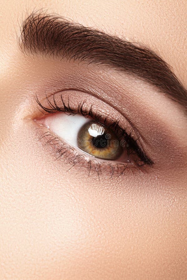 E Perfecte vormwenkbrauwen, beige oogschaduw Schoonheidsmiddelen en samenstelling Zorg over ogen royalty-vrije stock afbeeldingen E Perfecte vormwenkbrauwen, beige oogschaduw Schoonheidsmiddelen en samenstelling Zorg over ogen royalty-vrije stock afbeeldingen
