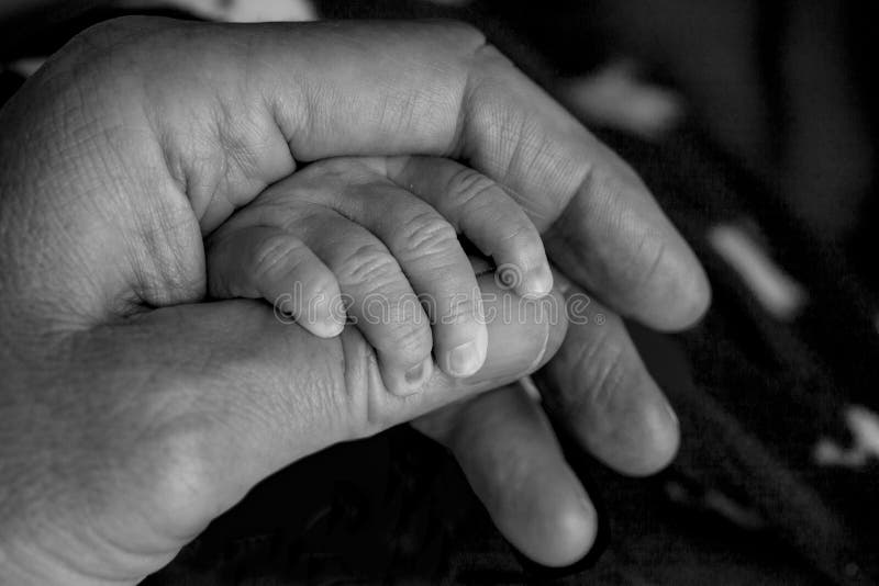 E Plan rapproché noir et blanc de main d'enfant dans des mains de parent ensemble images stock E Plan rapproché noir et blanc de main d'enfant dans des mains de parent ensemble images stock