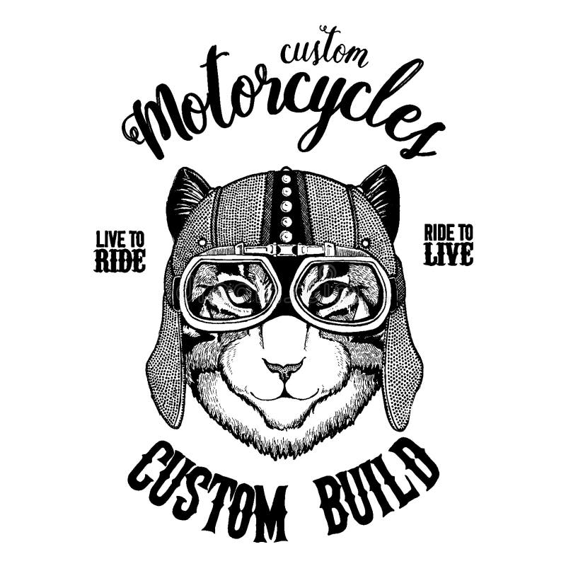 E r ilustracja wektor E r ilustracja wektor